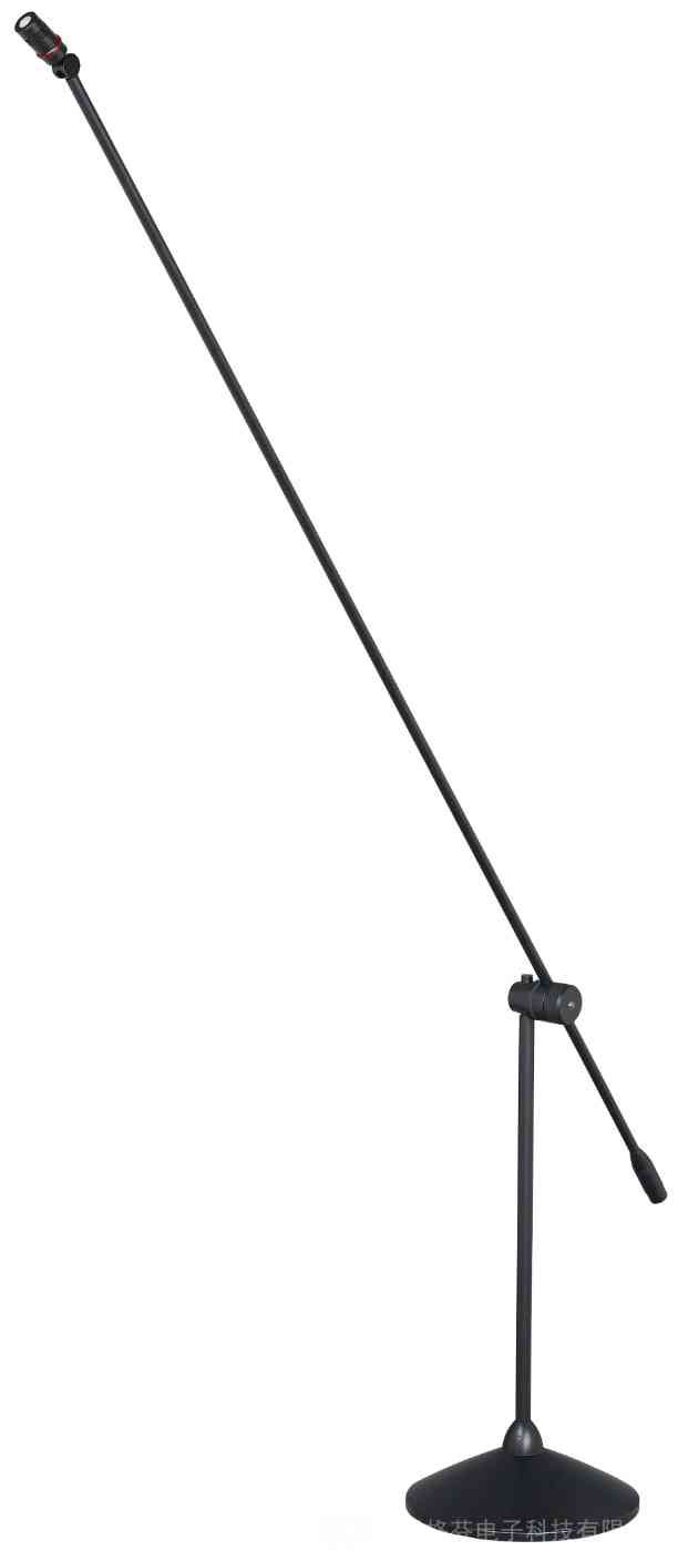 Floor-standing Professional Speech Microphone